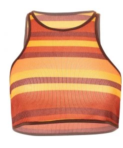 Own Saviour Sunset Stripe Crop