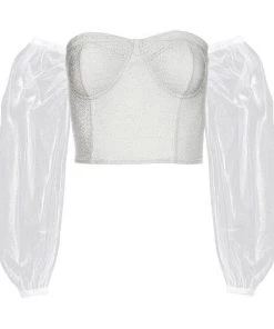 Own Saviour Shimmer Mesh Corset Crop Tees + Tops