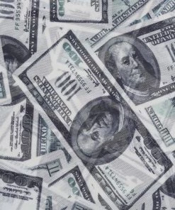 Own Saviour Dollar Mesh Mini Dress Dresses + Sets