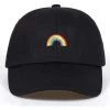 Own Saviour Accessories Rainbow Dad Hat