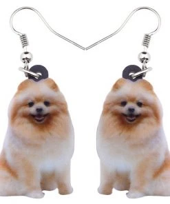 Own Saviour Pomeranian Drop Earrings