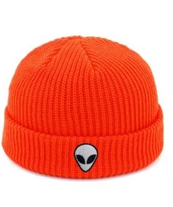 Own Saviour Alien Skull Beanie Accessories